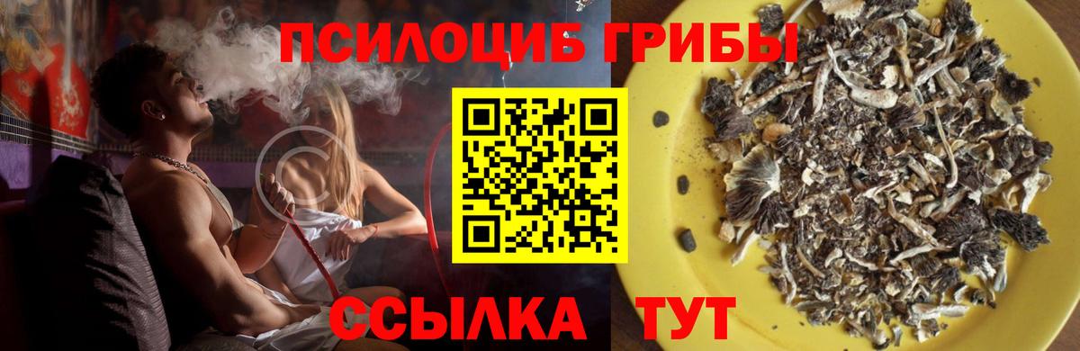 Псилоцибиновые грибы Magic Shrooms Жигулёвск